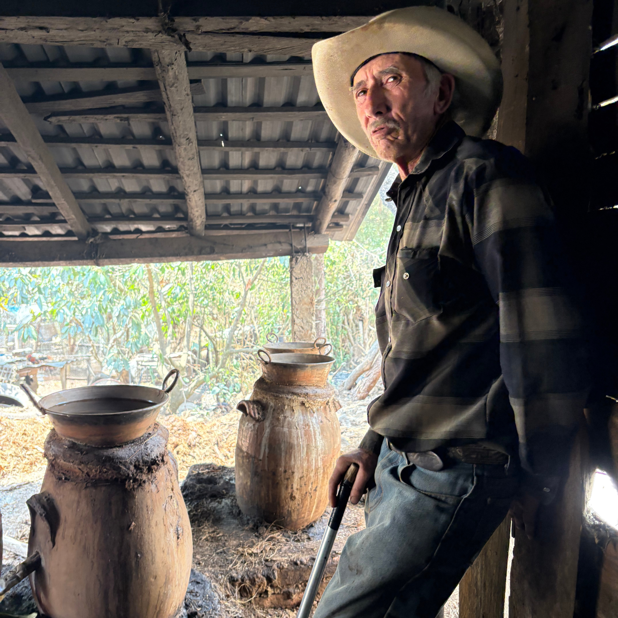 La Venenosa Tigre Clay Pot Still