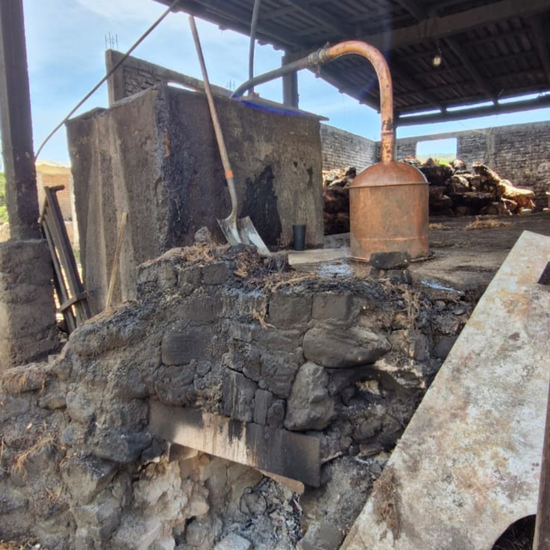 Sotol La Higuera Durango