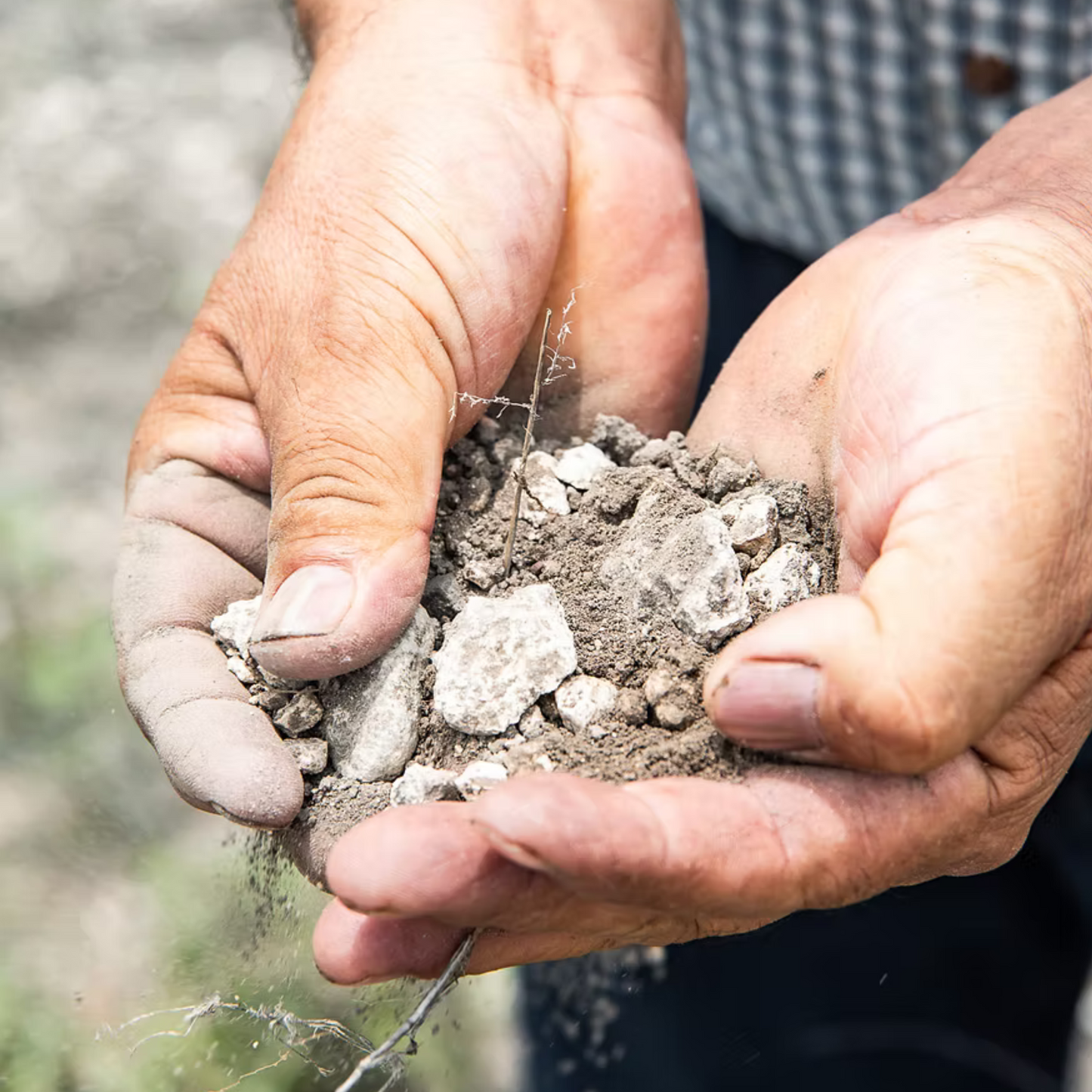 Fidencio Tierra Blanca
