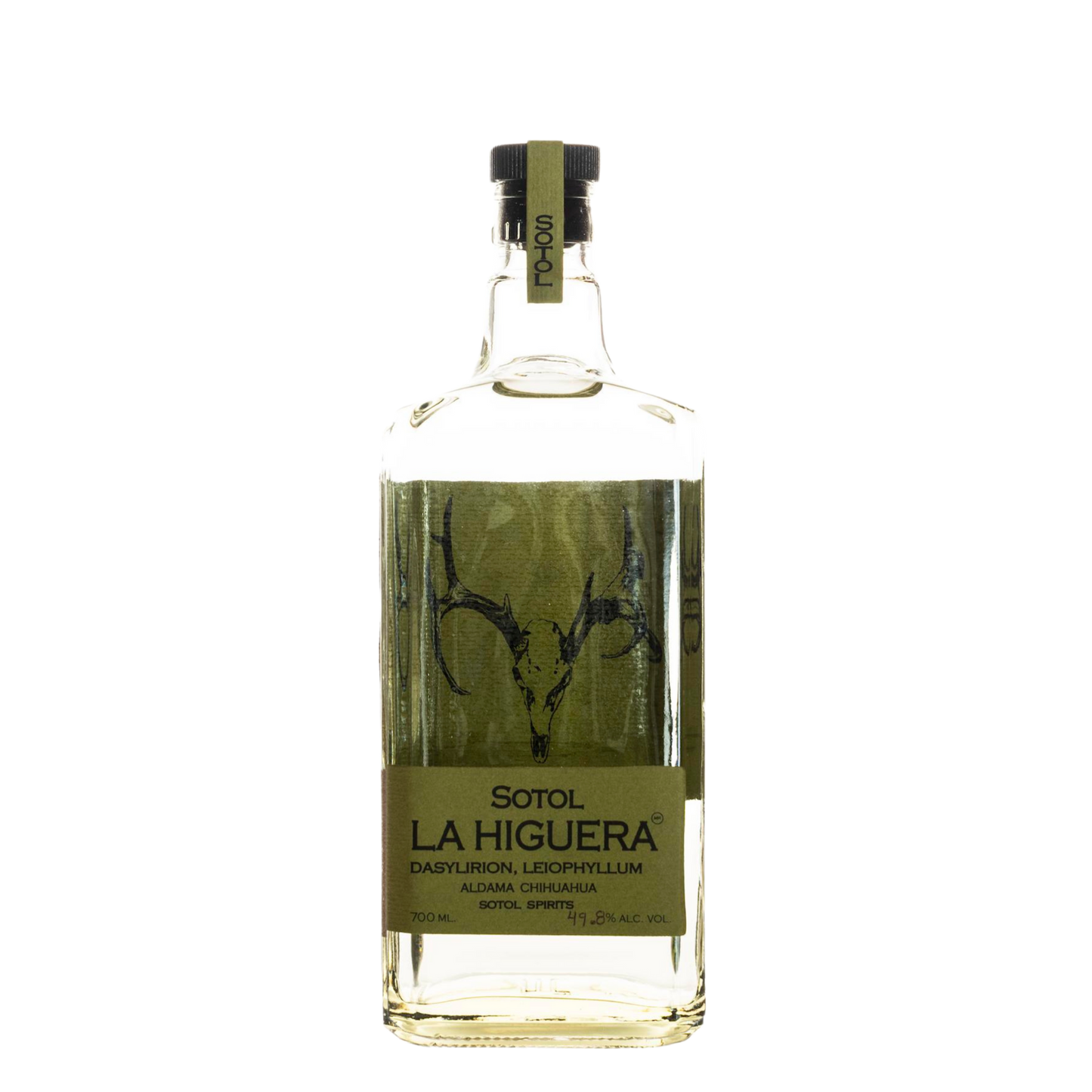 Sotol La Higuera Leiophyllum