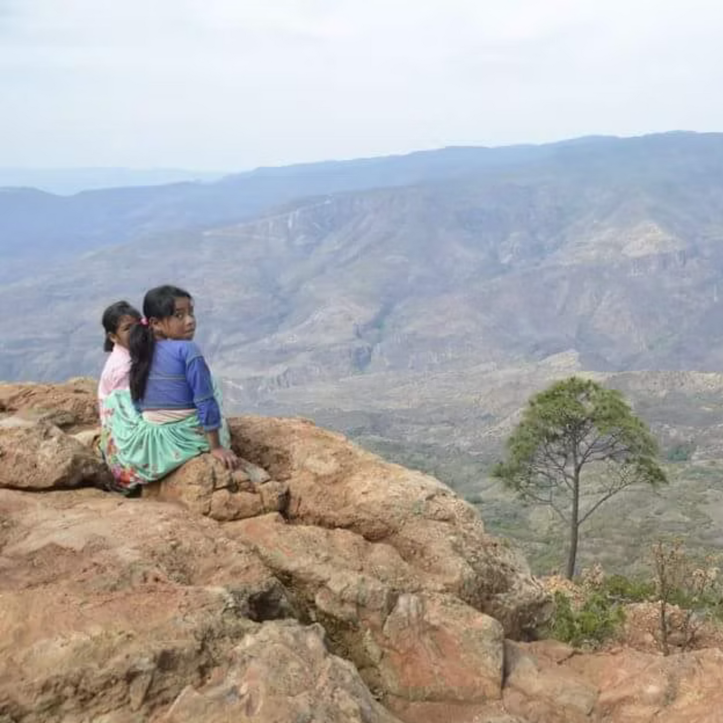 La Venenosa Tutsi Masparillo