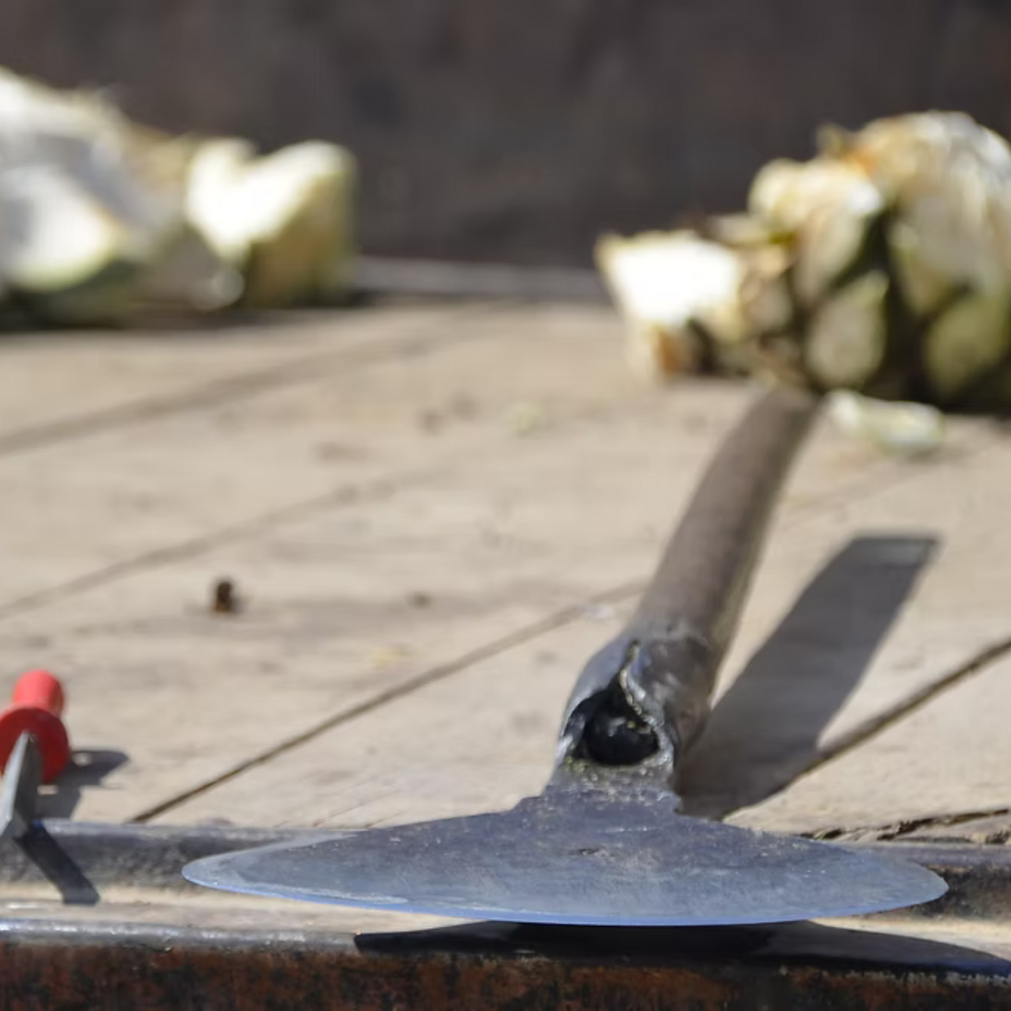 La Venenosa Occidental