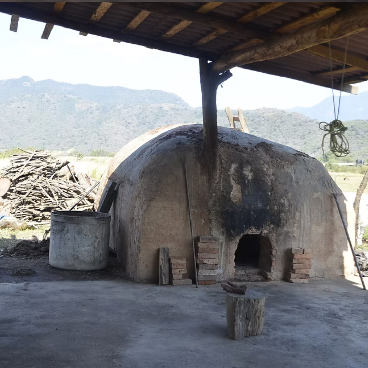 La Venenosa Occidental