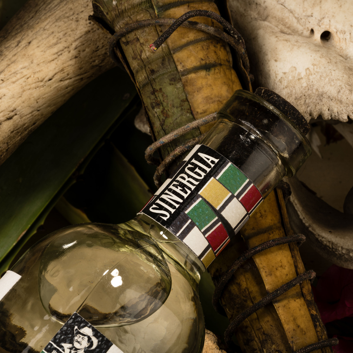 La Venenosa Sinergia 15 Year Anniversary