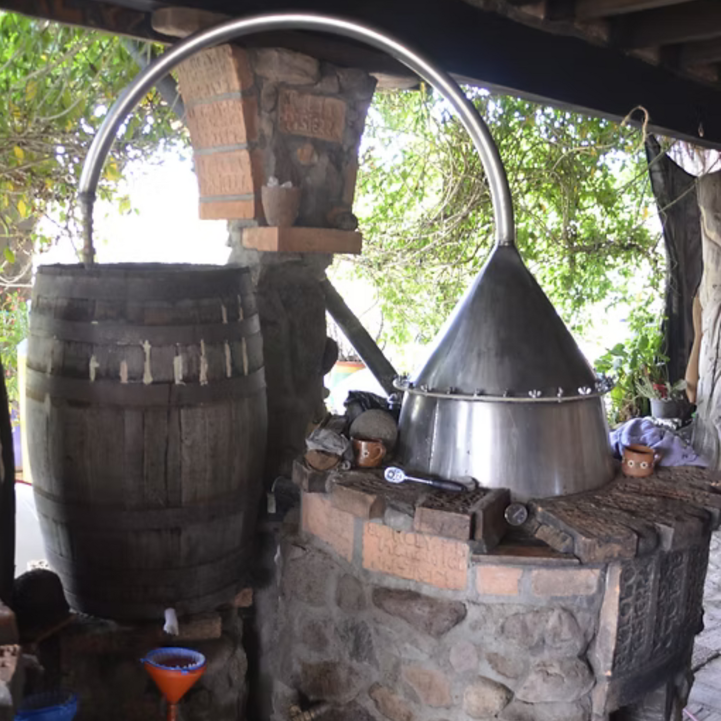 La Venenosa Puntas -Don Gerardo Peńa