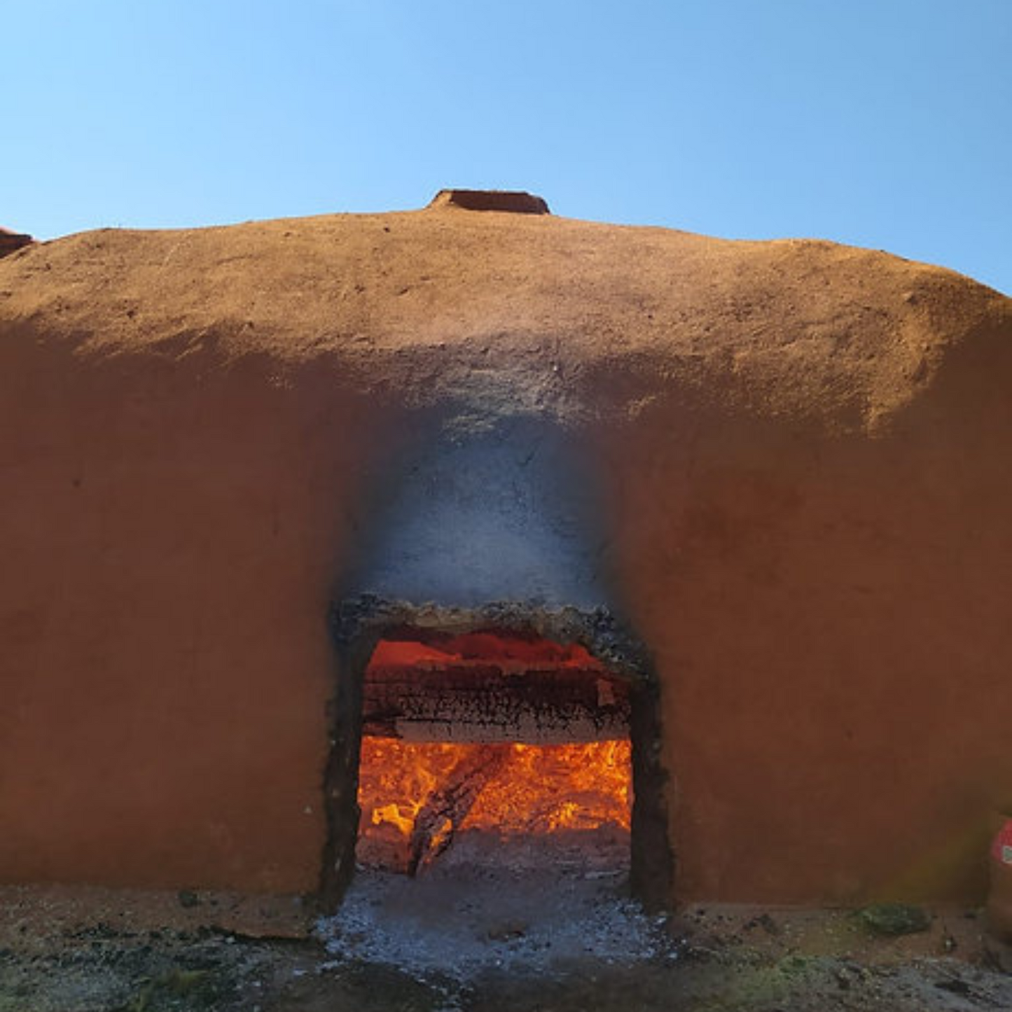 La Venenosa Tabernas Reposado