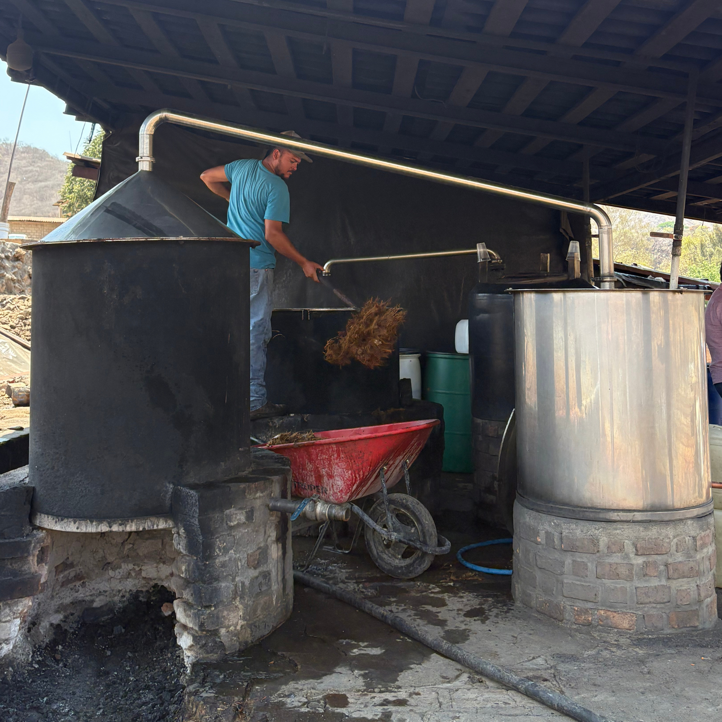 La Venenosa Tabernas Reposado