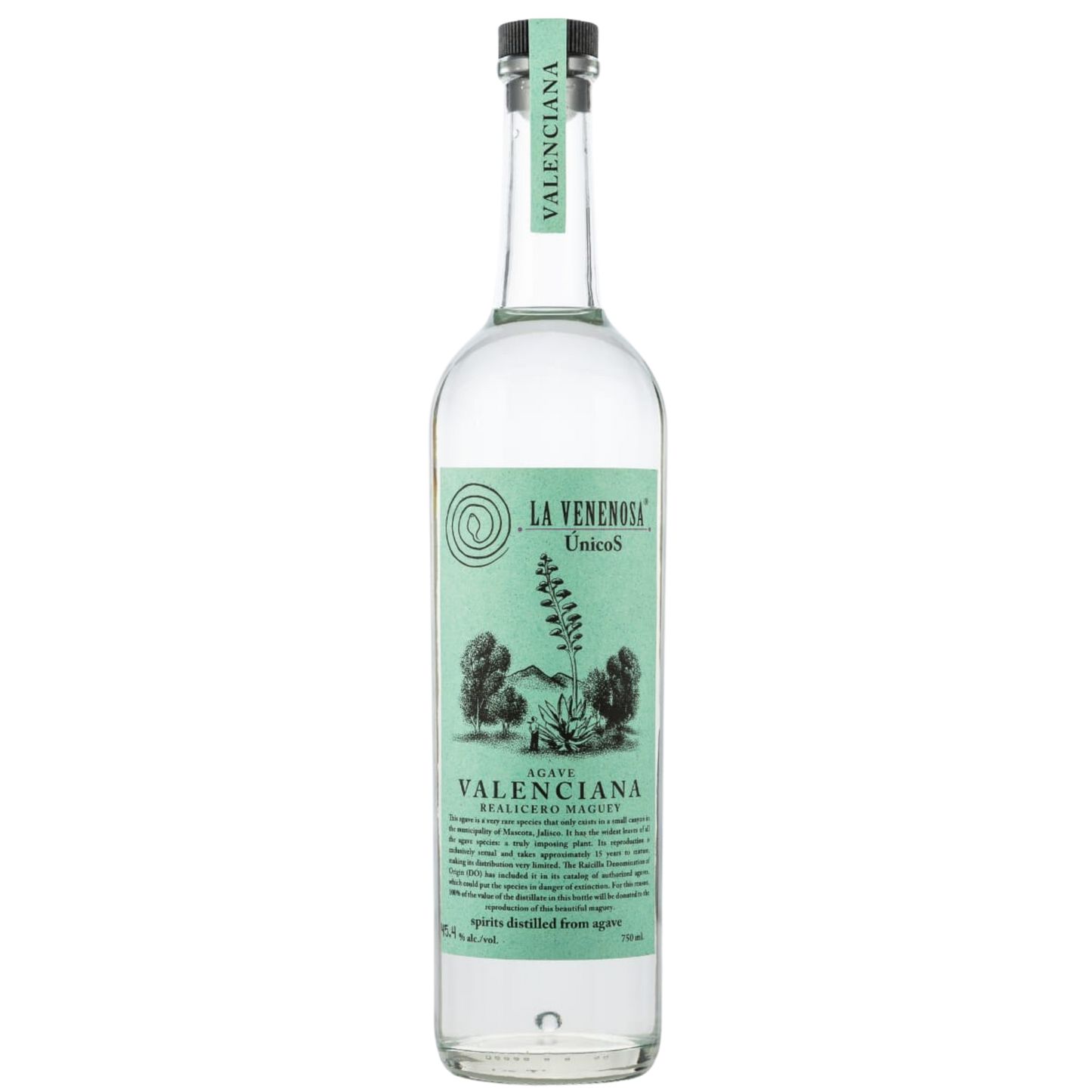 La Venenosa Valenciana