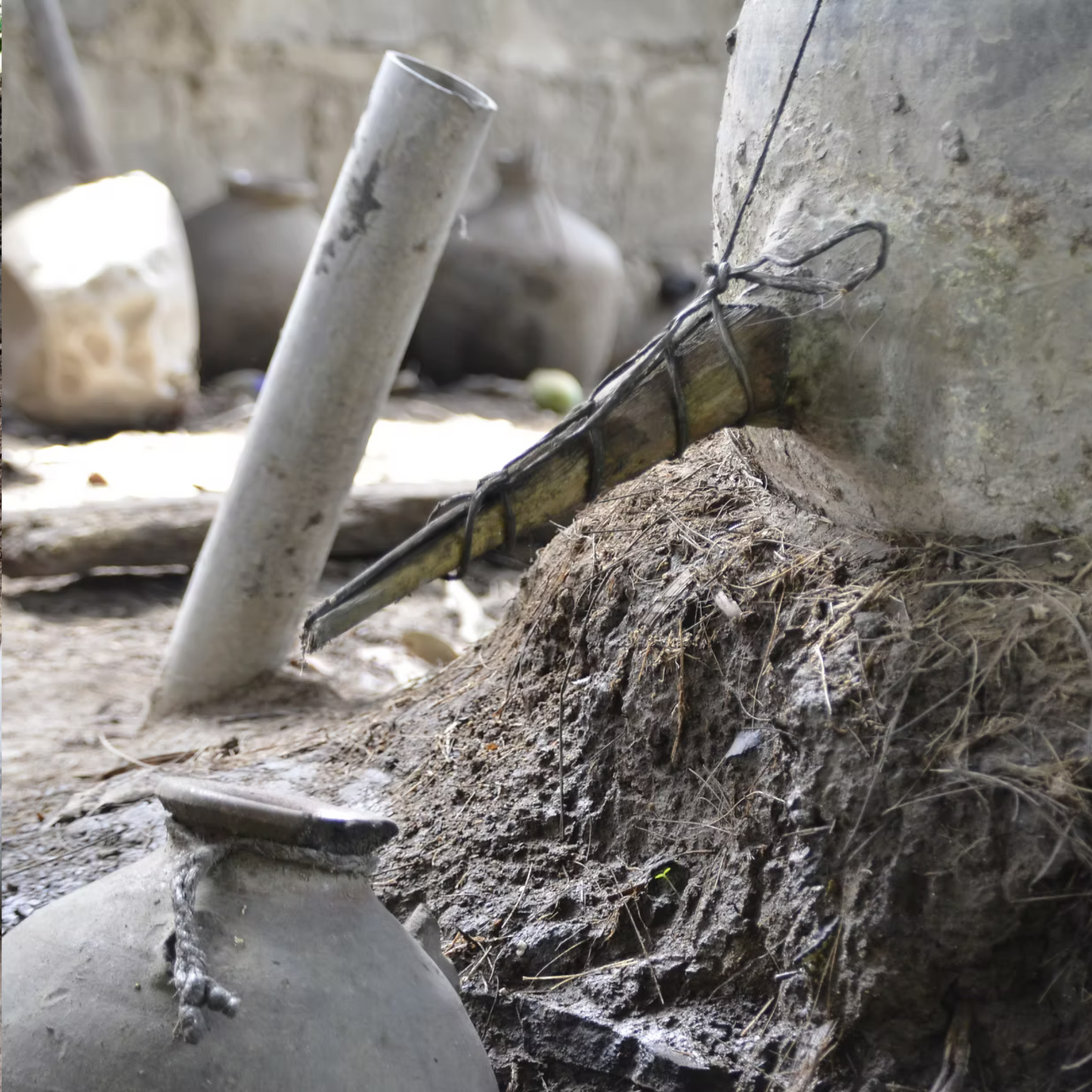 La Venenosa Volcanes