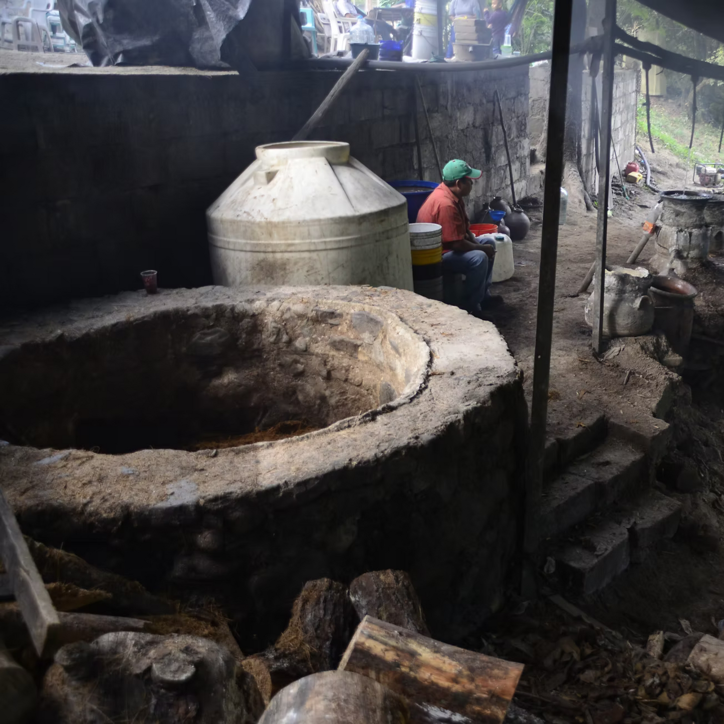 La Venenosa Volcanes