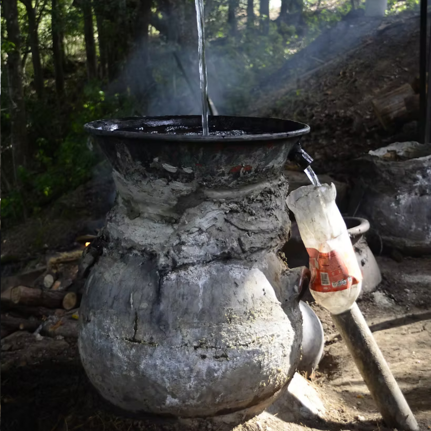 La Venenosa Volcanes