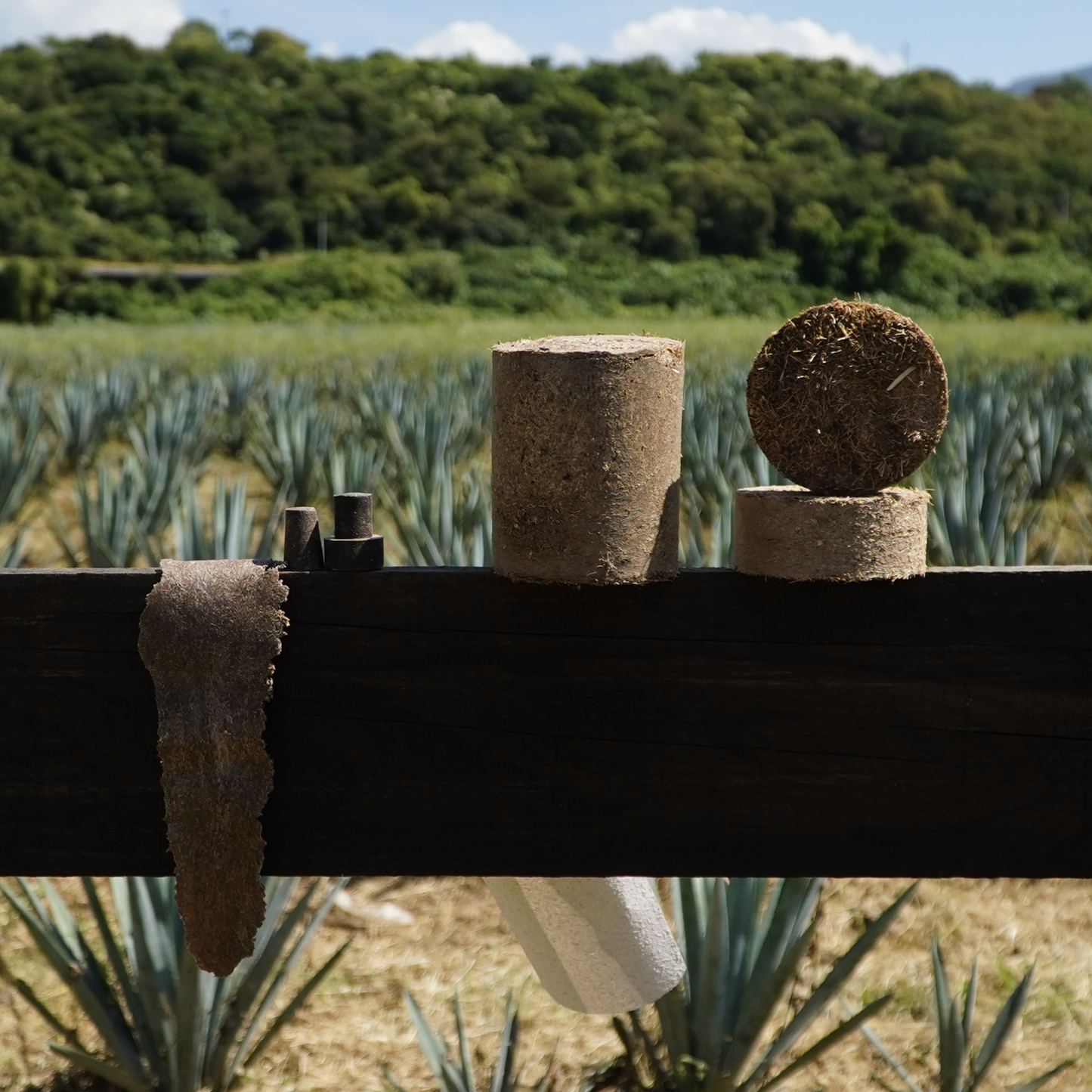 El Bagazo Tequila Blanco - Pre-Sale