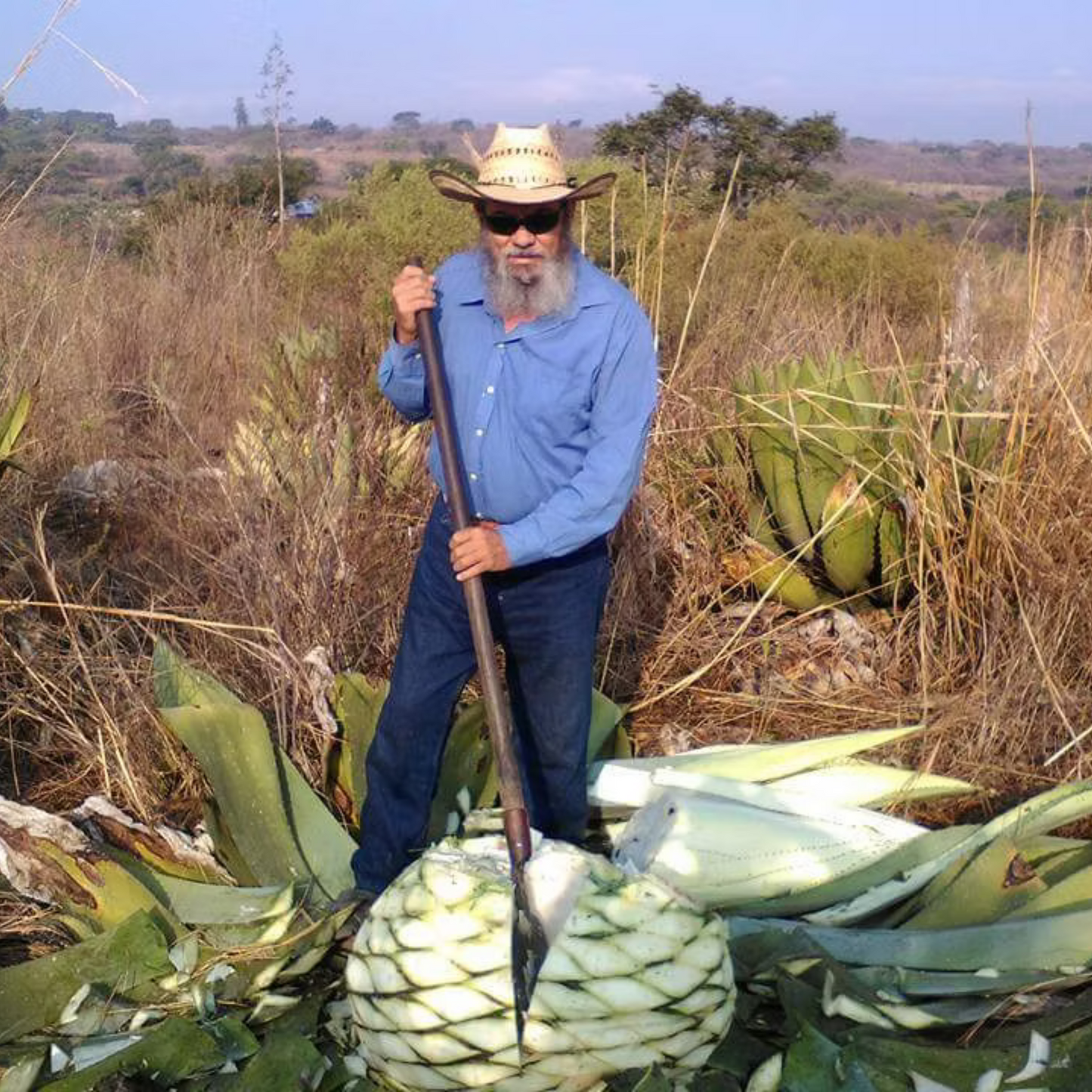 La Venenosa Puntas -Don Gerardo Peńa
